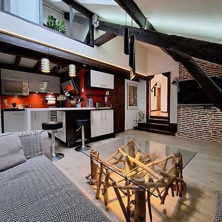 Le Perchoir De L'Empereur Appartement Orléans Buitenkant foto